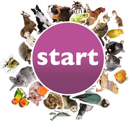 start