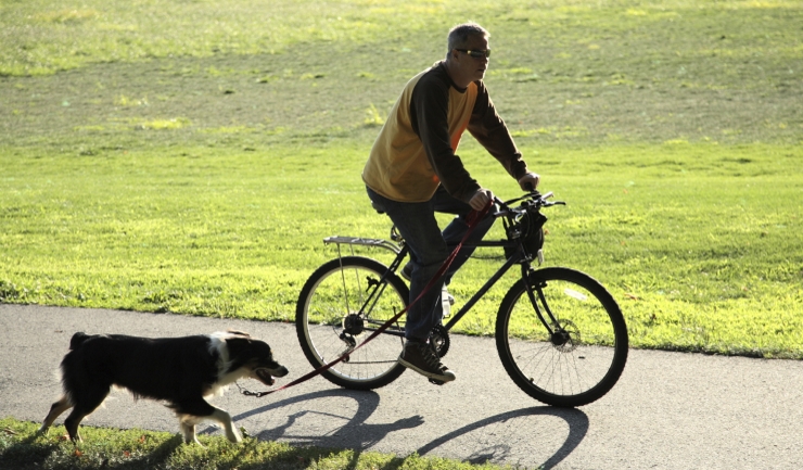 licg.nl Fietsen met de hond