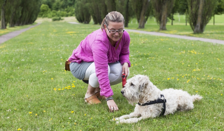 - Gedragstherapie voor de hond