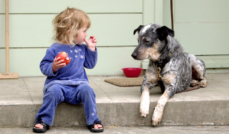 Gepolijst Deter Bont licg.nl - Kind en hond – houd het veilig