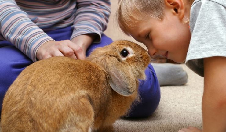 licg.nl - Invloed van dieren kinderen