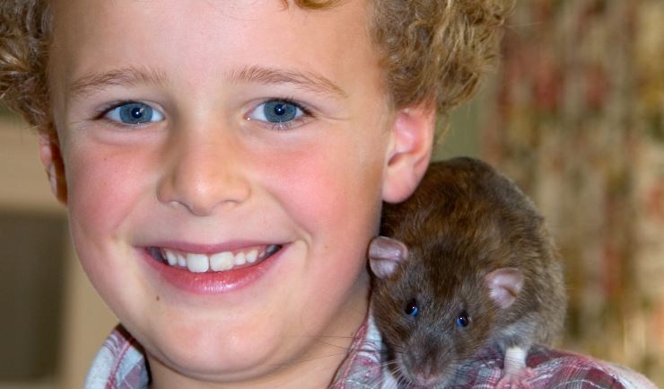 Aantrekkingskracht Hechting overhead licg.nl - Kinderen en een 'eigen' huisdier