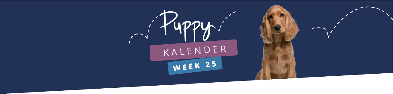 Puppykalender - week 25
