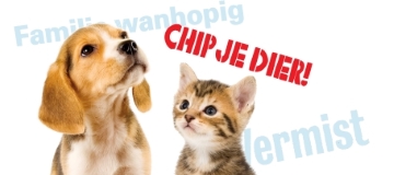 Campagne Juni Chipmaand