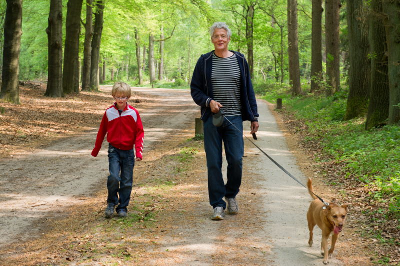 licg.nl - met de hond. Hoe voor iedereen?