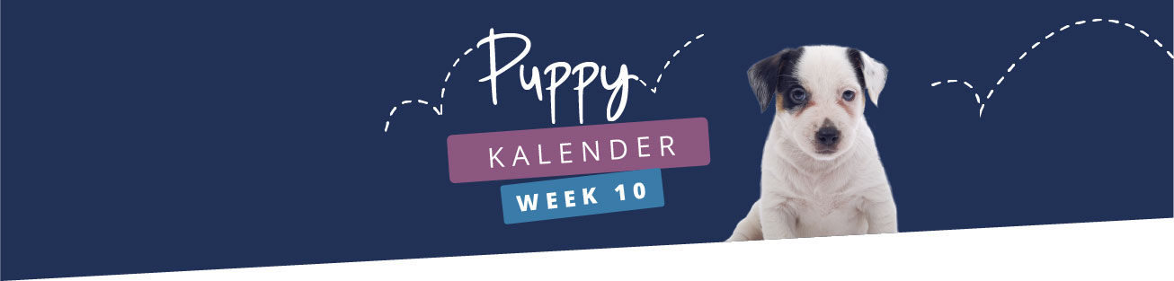 Puppykalender - week 10