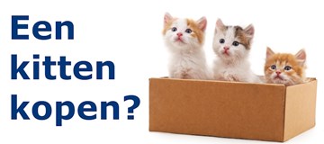 Gebruik de kitten-checklist!