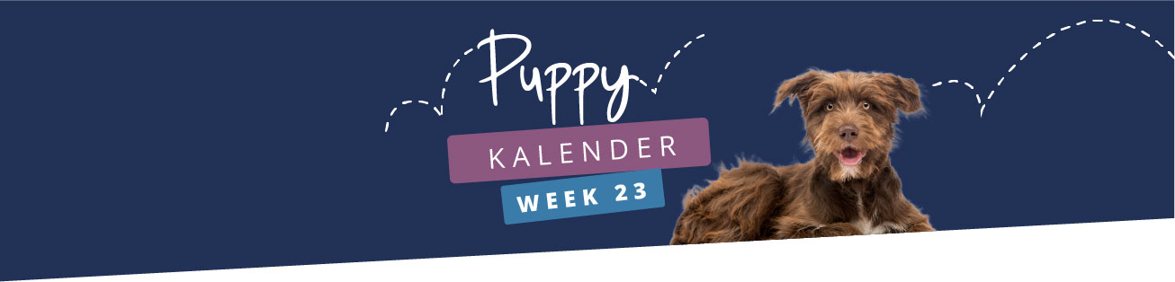 Puppykalender - week 23