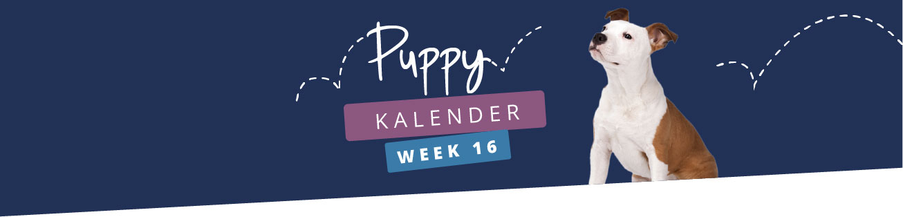 Puppykalender - week 16