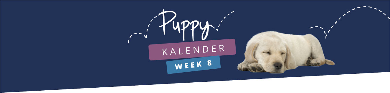 Puppykalender - week 8
