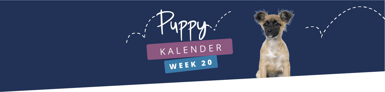 Puppykalender - week 20