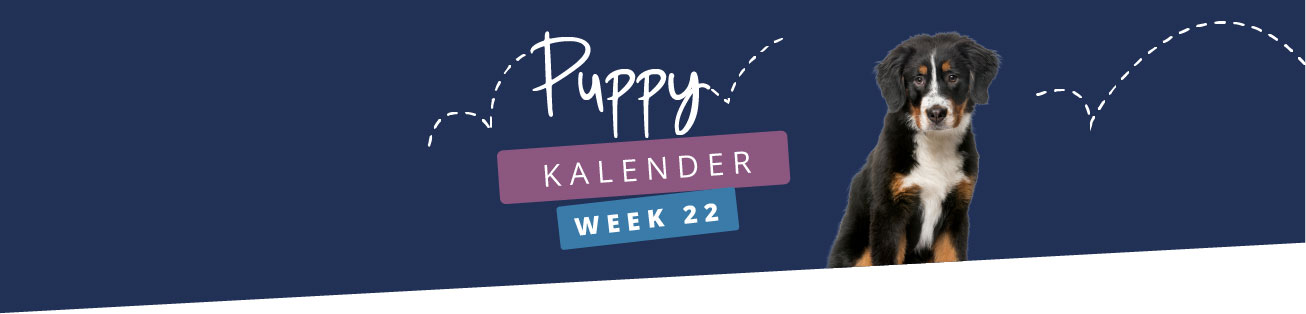 Puppykalender - week 22