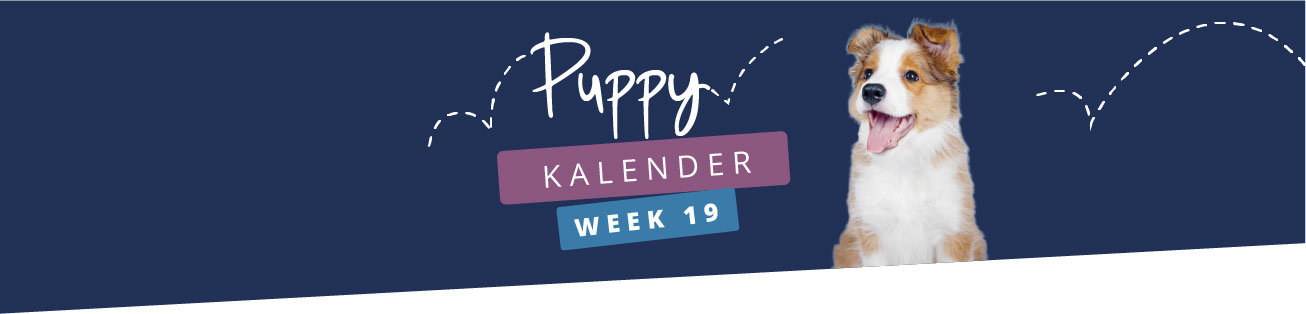 Puppykalender - week 19