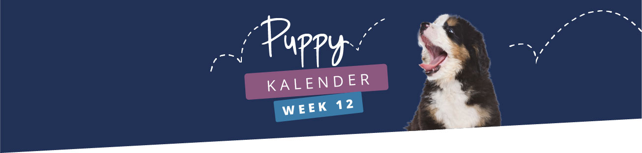 Puppykalender - week 12