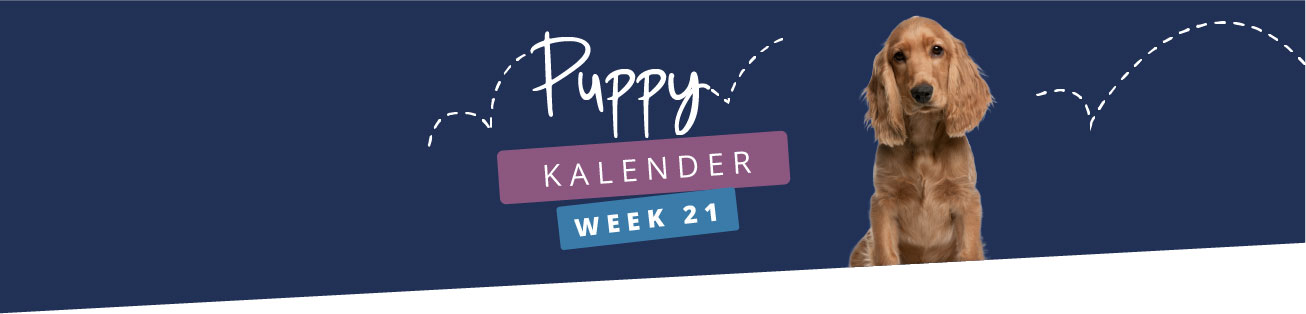 Puppykalender - week 21