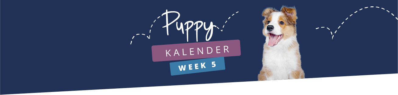 Puppykalender - week 5