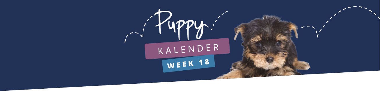 Puppykalender - week 18