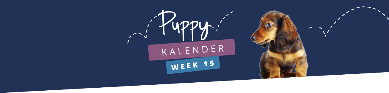 Puppykalender - week 15