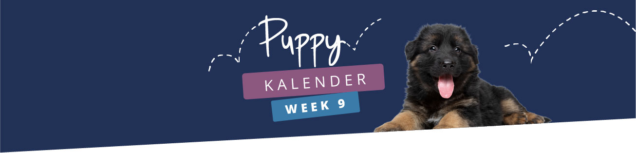 Puppykalender - week 9
