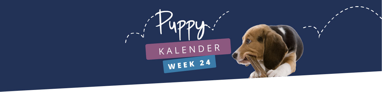 Puppykalender - week 24